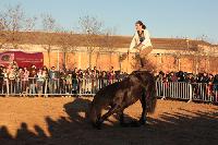 Exhibici Sercam Shows, amb el cavall Napole i Sant Serra
